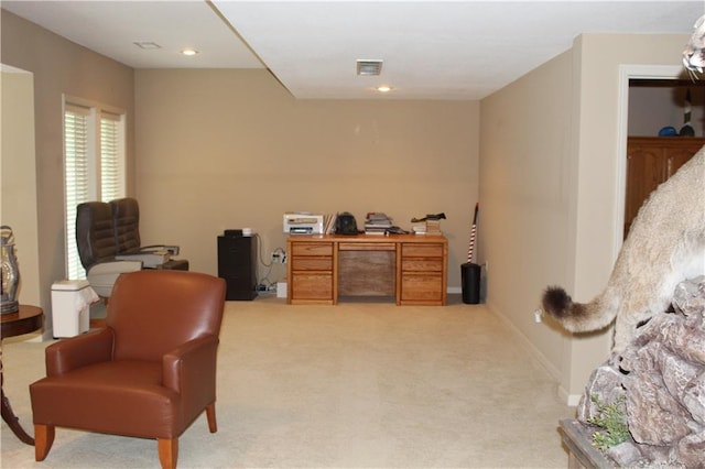 9013 N Kansas Ct, Kansas City, MO 64156 - photo 30