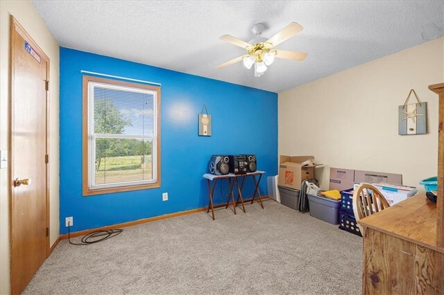 2185 Iowa Rd, Ottawa, KS 66067 - photo 20