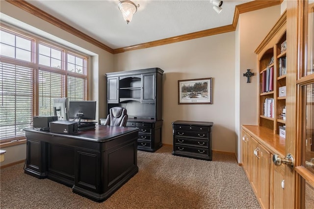 4902 Corinth Dr, Saint Joseph, MO 64506 - office area with crown molding, carpet flooring, and healthy amount of natural light