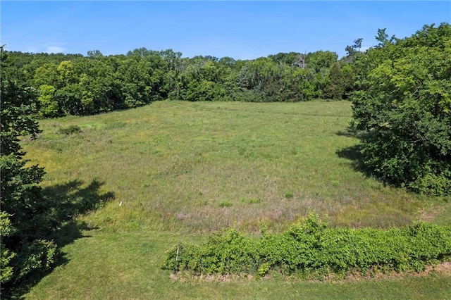 23404 Waverly Rd, Spring Hill, KS 66083 - view of yard featuring a forest view