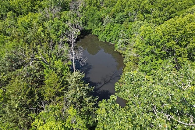 23404 Waverly Rd, Spring Hill, KS 66083 - bird's eye view of a nearby body of water and a heavily wooded area