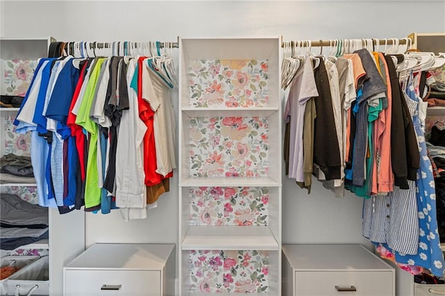 20212 S Carriage Ln, Peculiar, MO 64078 - view of spacious closet