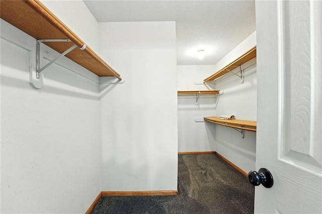 802 S Morgan Dr, Peculiar, MO 64078 - spacious closet with dark carpet