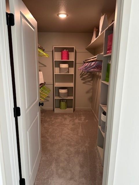 1309 N 4th St E, Louisburg, KS 66053 - spacious closet featuring carpet flooring