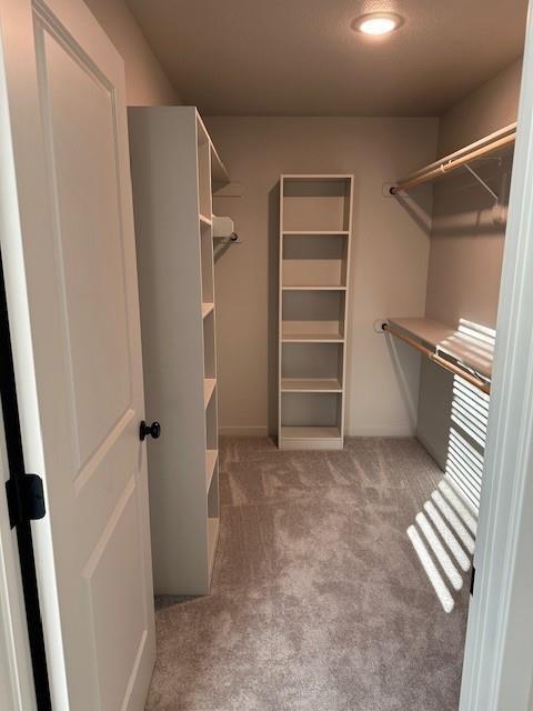 1309 N 4th St E, Louisburg, KS 66053 - spacious closet featuring carpet