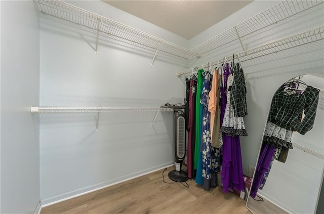 2621 SE 5th St, Lees Summit, MO 64063 - walk in closet featuring wood finished floors