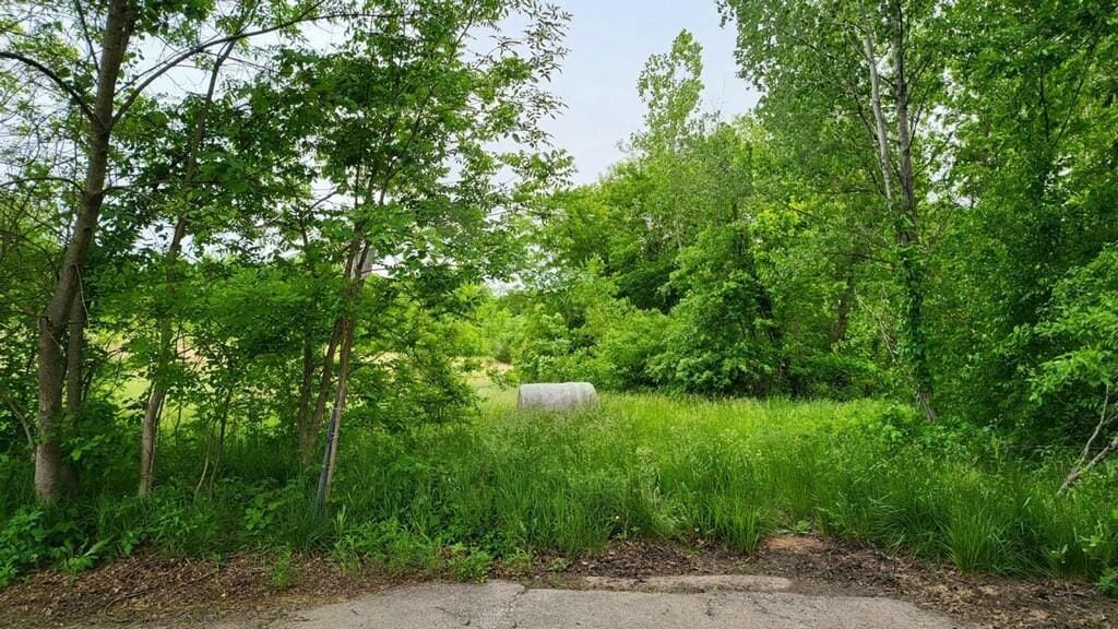 TBD Horseshoe Dr, Oak Grove, MO 64075 - photo 1