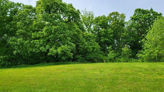 LOT19TBD SE Holstein Dr, Oak Grove, MO 64075 - photo 1
