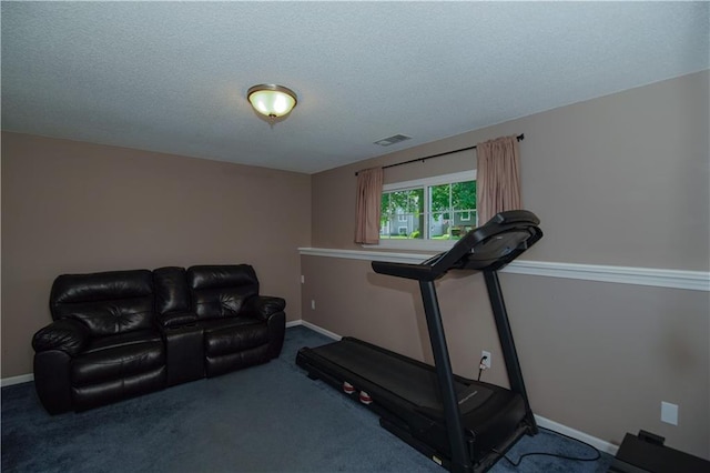 1005 Hunters Rd, Blue Springs, MO 64014 - workout area with carpet and a textured ceiling