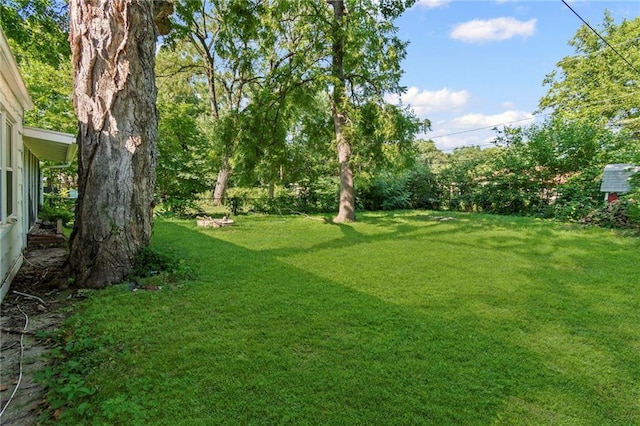 7712 Mcgee St, Kansas City, MO 64114 - view of grassy yard