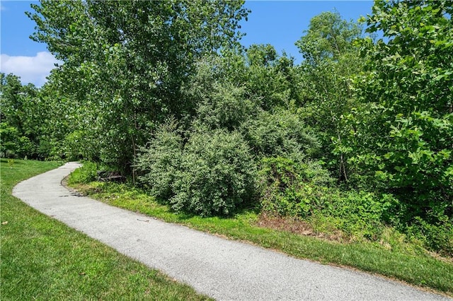 7265 NW Forest Lakes Dr, Parkville, MO 64152 - photo 48