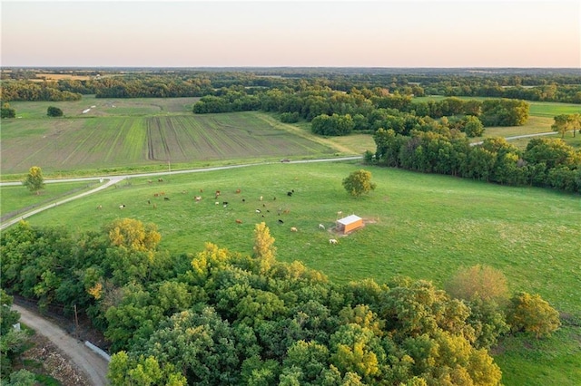 1318 NW 911p Rd, Blairstown, MO 64726 - photo 16