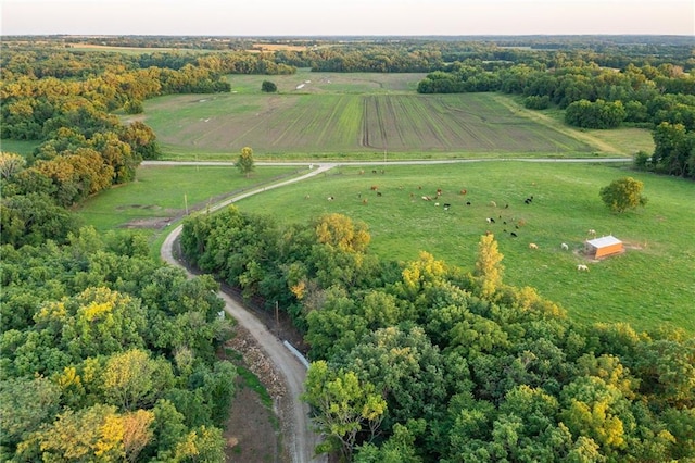 1318 NW 911p Rd, Blairstown, MO 64726 - photo 17