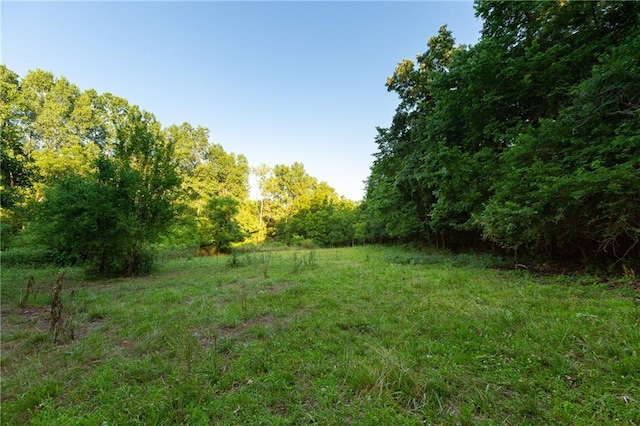 1318 NW 911p Rd, Blairstown, MO 64726 - photo 68