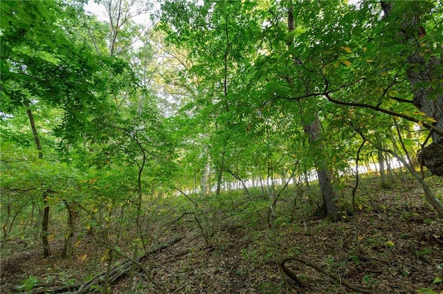 1318 NW 911p Rd, Blairstown, MO 64726 - photo 69