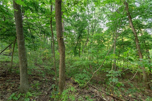 1318 NW 911p Rd, Blairstown, MO 64726 - photo 70