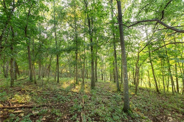 1318 NW 911p Rd, Blairstown, MO 64726 - photo 72