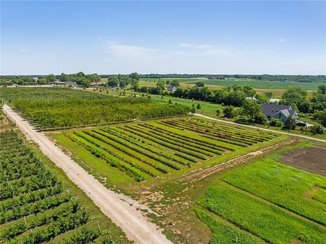 27707 E Wyatt Rd, Blue Springs, MO 64014 - photo 48