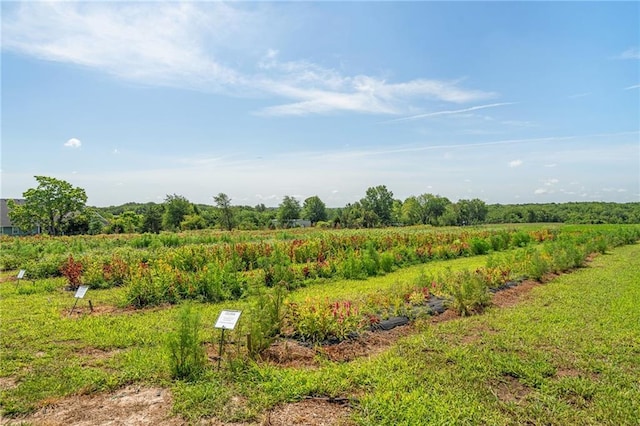 27707 E Wyatt Rd, Blue Springs, MO 64014 - photo 62