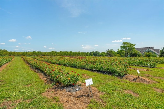 27707 E Wyatt Rd, Blue Springs, MO 64014 - photo 66