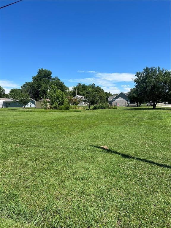 208 Elm Ave, Altamont, KS 67330 - photo 2