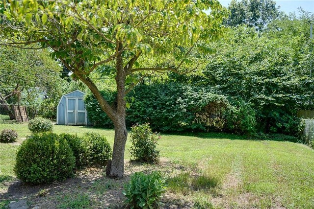 1421 W 28th Ter, Independence, MO 64052 - view of yard featuring a storage unit