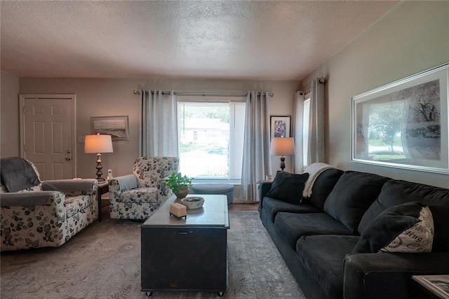 1421 W 28th Ter, Independence, MO 64052 - carpeted living area featuring a textured ceiling