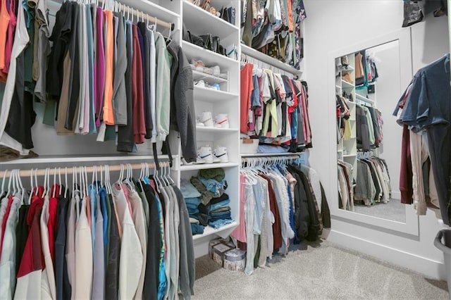 1161 SW Whitby Dr, Lees Summit, MO 64083 - walk in closet featuring carpet