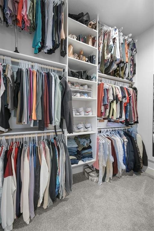 1161 SW Whitby Dr, Lees Summit, MO 64083 - walk in closet with carpet floors