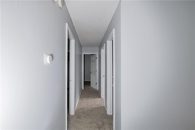 16402 W 149th Ter, Olathe, KS 66062 - photo 21