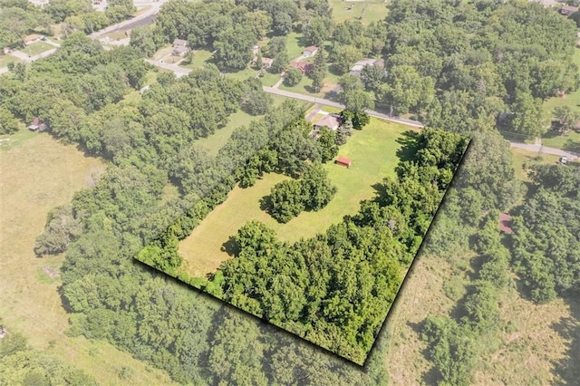 1401 E Mechanic Ave, Independence, MO 64050 - aerial view of property's location