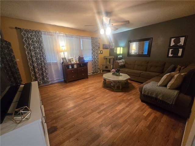202 Elmer St, Wellington, MO 64097 - photo 6