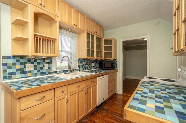 230 N 300th Rd, Overbrook, KS 66524 - kitchen with tile counters, white appliances, dark wood-style floors, light brown cabinetry, and a textured ceiling