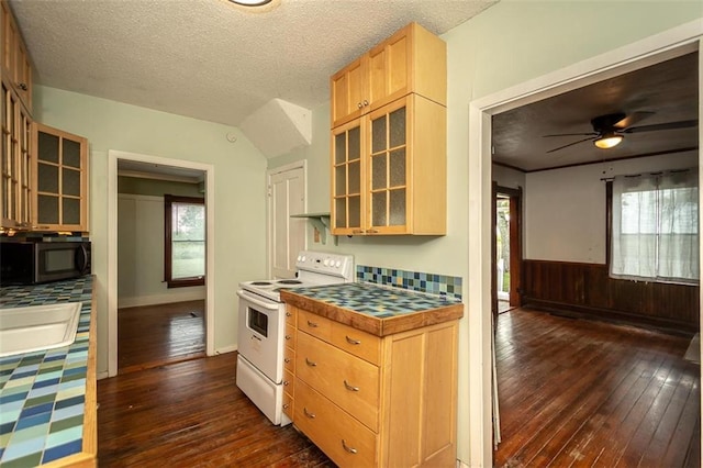 230 N 300th Rd, Overbrook, KS 66524 - kitchen with white range with electric stovetop, black microwave, dark wood-style floors, healthy amount of natural light, and wainscoting