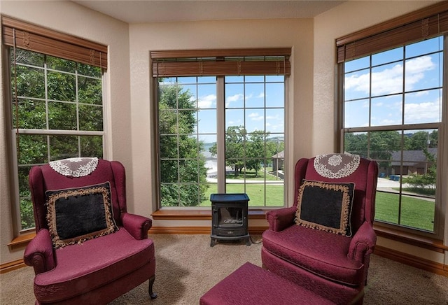 1318 Oakwood Dr, Hollister, MO 65672 - photo 36