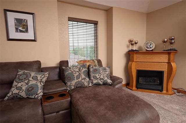 1318 Oakwood Dr, Hollister, MO 65672 - photo 61