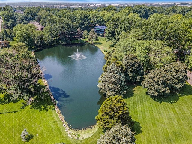 11401 Cedar St, Leawood, KS 66211 - drone / aerial view of a large body of water