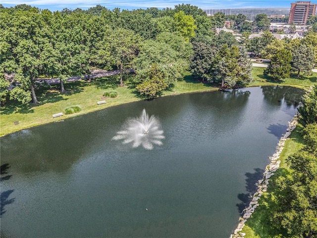 11401 Cedar St, Leawood, KS 66211 - bird's eye view of a nearby body of water