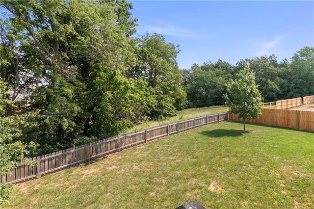 1013 SE Beatty Ct, Blue Springs, MO 64014 - view of fenced backyard