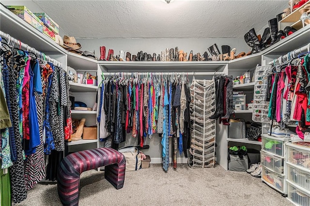 807 NW Bent Tree Dr, Lees Summit, MO 64081 - spacious closet featuring carpet floors