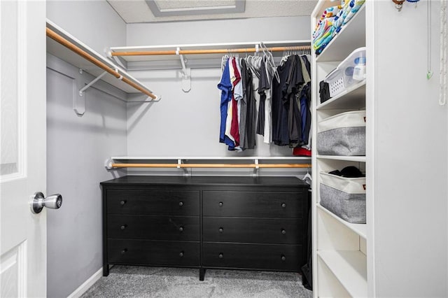 2417 SW Woodhaven Ln, Lees Summit, MO 64082 - walk in closet featuring carpet flooring