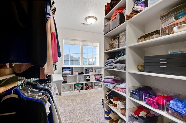 20487 W 108th St, Olathe, KS 66061 - spacious closet with carpet