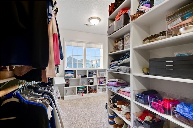 20487 W 108th St, Olathe, KS 66061 - spacious closet with carpet