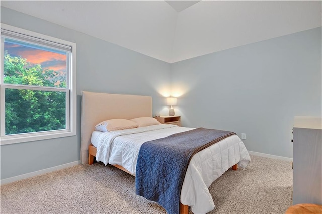 20487 W 108th St, Olathe, KS 66061 - bedroom featuring carpet flooring