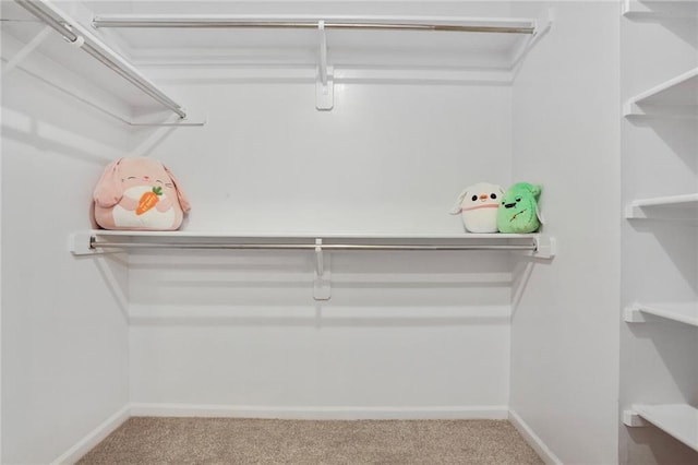 5010 W 161st Ter, Overland Park, KS 66085 - walk in closet with carpet floors