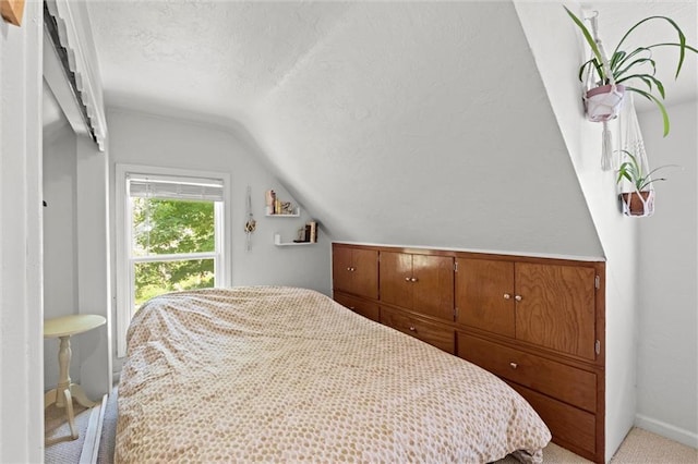 6016 Harrison St, Kansas City, MO 64110 - bedroom with vaulted ceiling, a textured ceiling, and light carpet