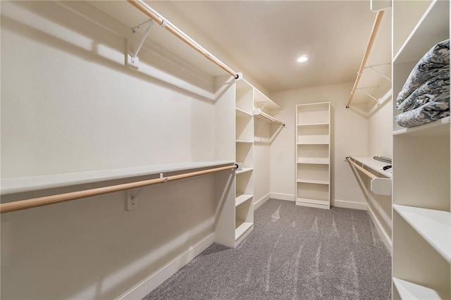 16699 S Chalet Dr, Olathe, KS 66062 - walk in closet with carpet floors