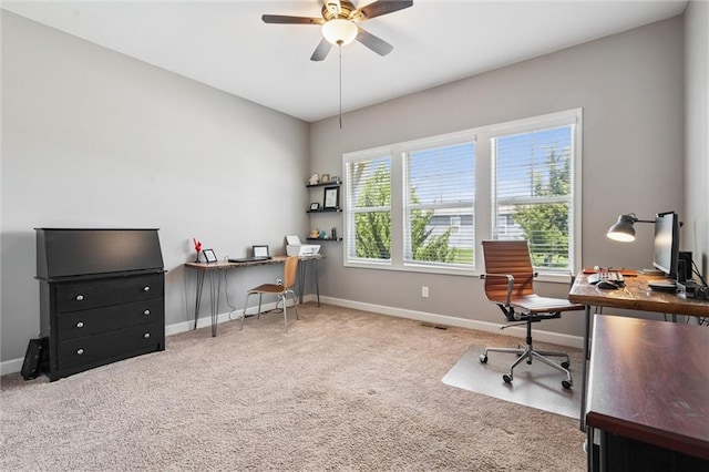 18205 Hauser St, Overland Park, KS 66013 - photo 28