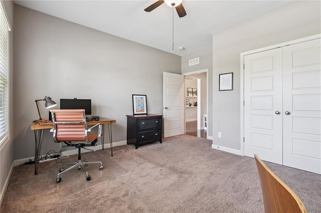 18205 Hauser St, Overland Park, KS 66013 - photo 29