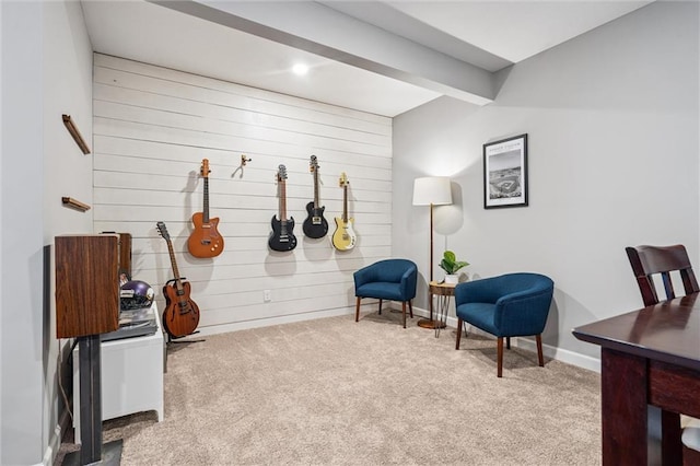 18205 Hauser St, Overland Park, KS 66013 - photo 36